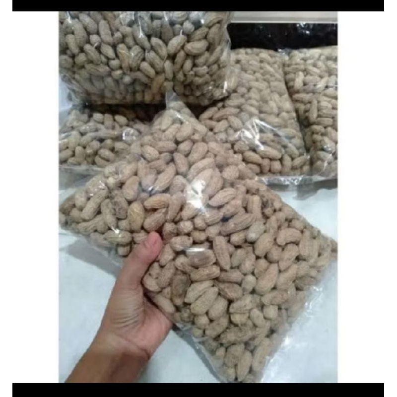 

{TERMURAH 1KG} kacang kulit sangrai cemilan sekeluarga kacang kulit sangrai 1kilo lebih hemat dan nikmat pol