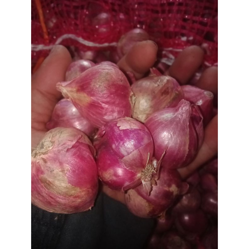 

bawang merah super 1kg bersih kering