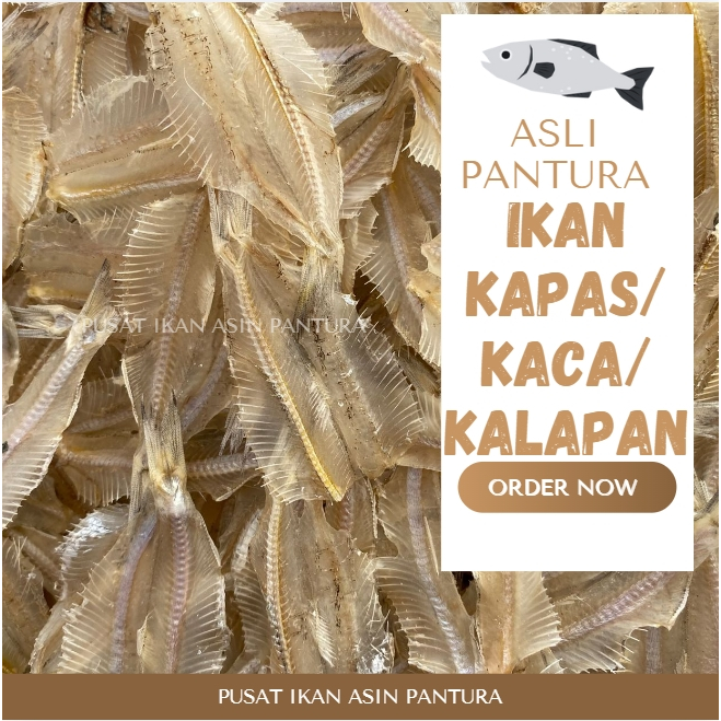 

IKAN KACA SUTRA/KALAPAN/ TAWAR PREMIUM