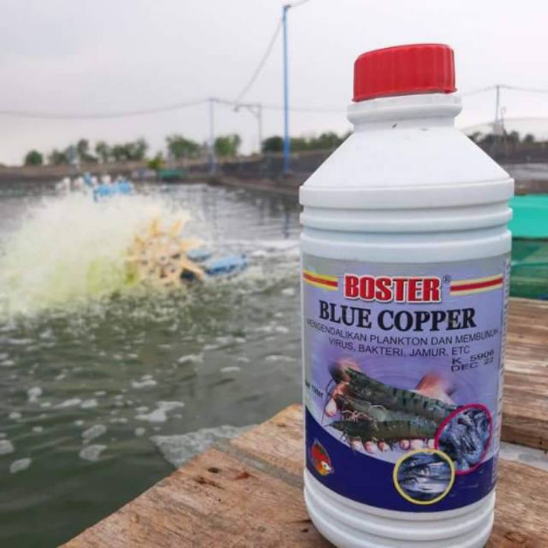 BOSTER BLUE COPPER ORIGINAL / ANTISEPTIK
