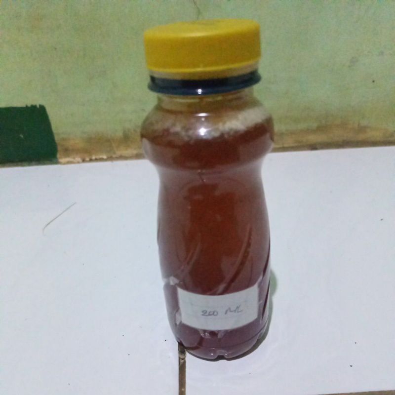 

madu tawon klanceng