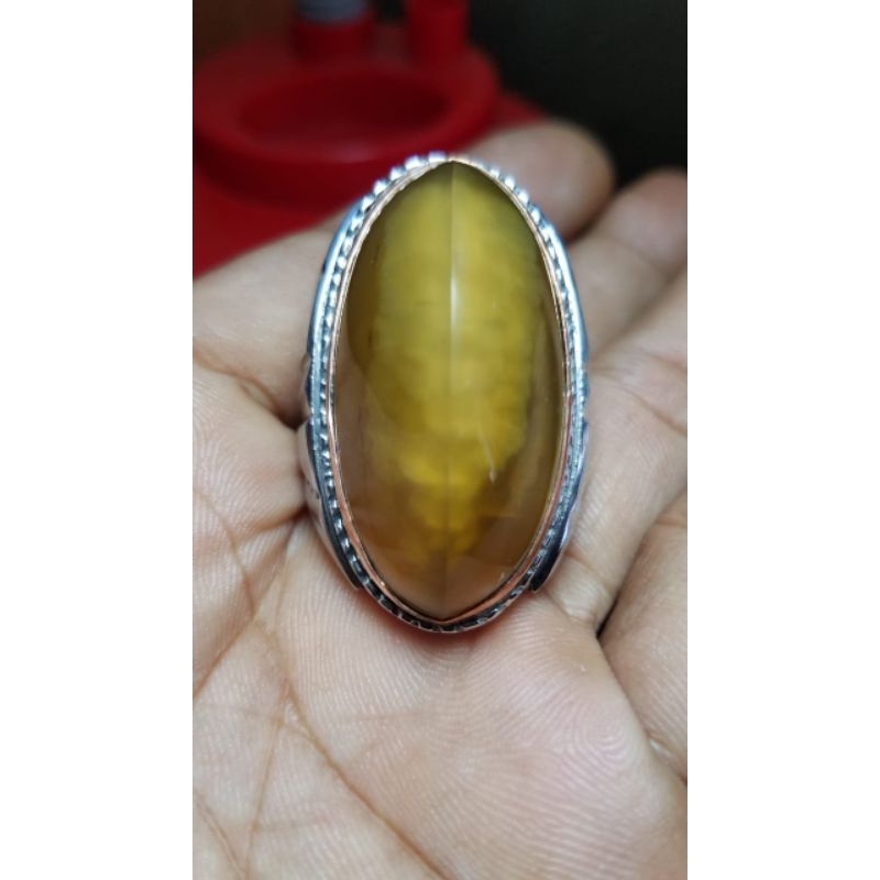 cincin pandan lumut sisik betok