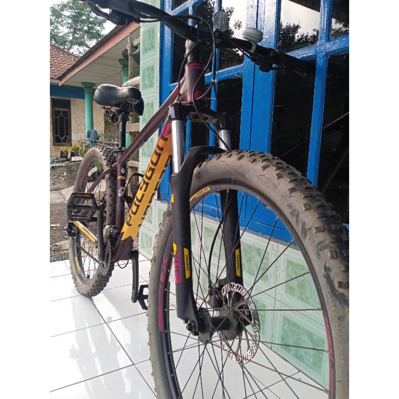 polygon premier 4 tahun 2021