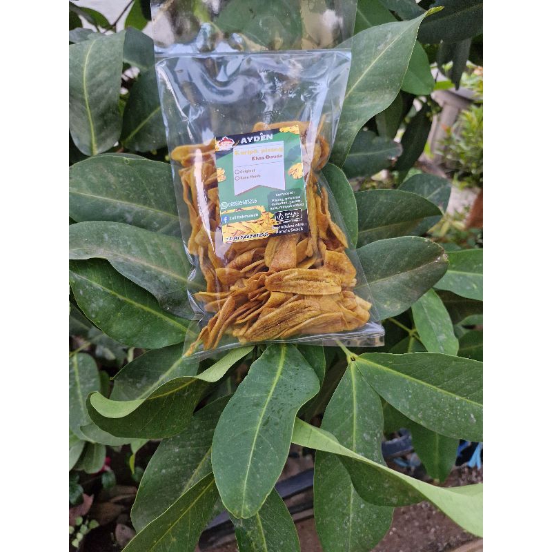 

Keripik Pisang Ayden