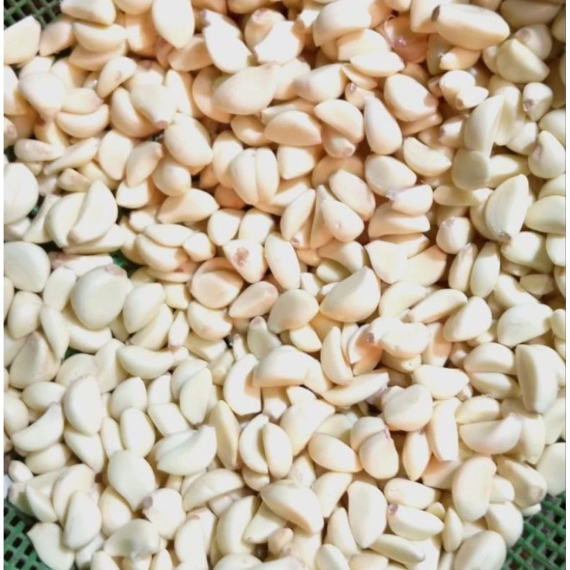 

Bawang putih kupas segar