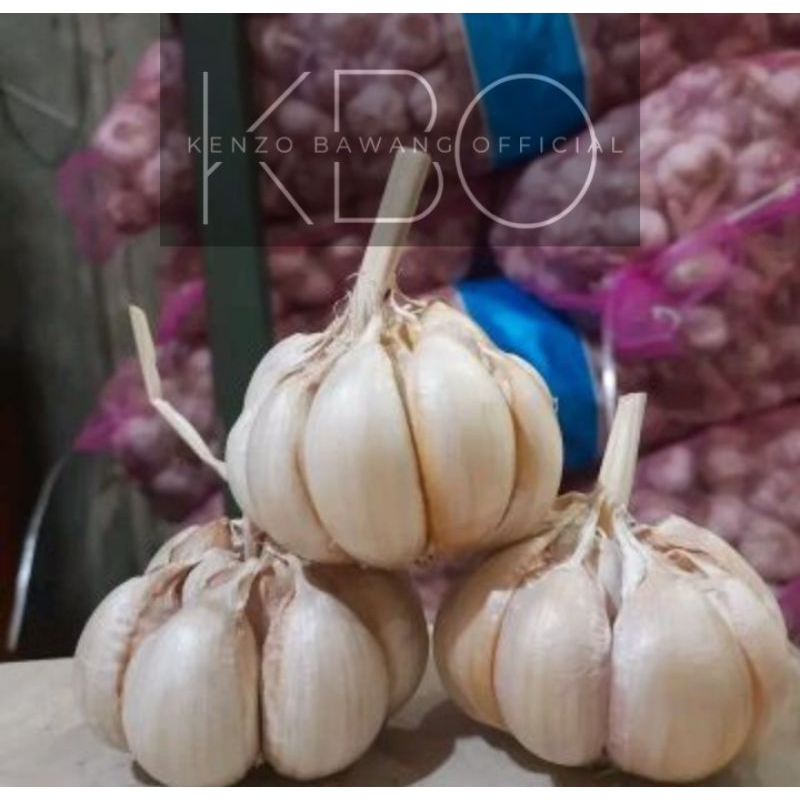 

Bawang Putih Sinco 1 Kg