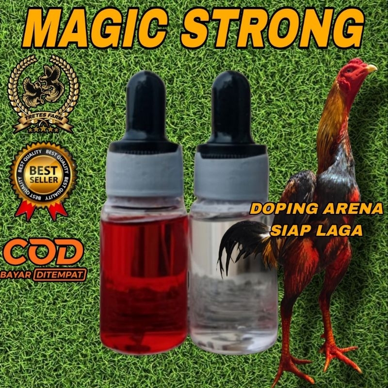 magic strong doping import ayam laga dan ayam taji
