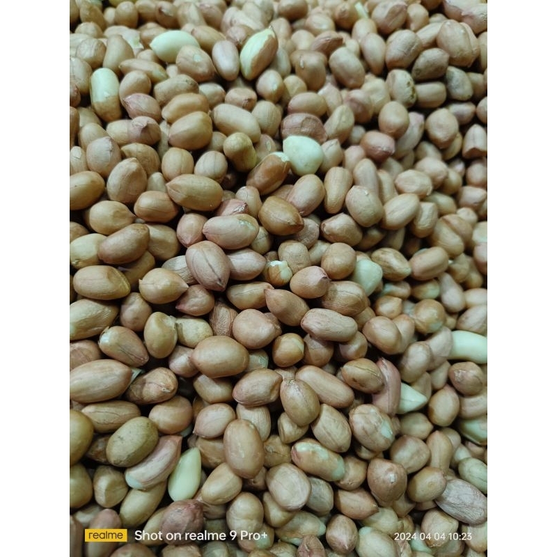 

Kacang Tanah Asli Tuban mentah 250gram 500gram