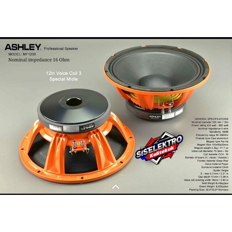 Speaker 12 Inch Ashley mf1230 Ashley