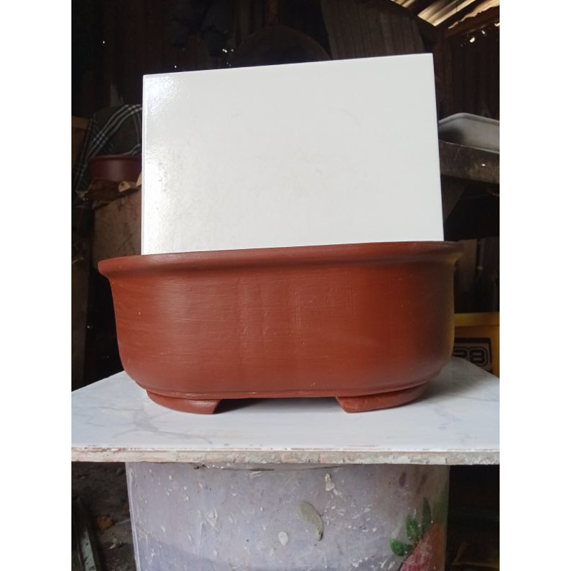 pot bonsai oval  ,pot bonsai kecil