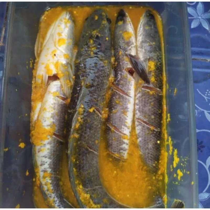 

ikan gabus bumbu kuning 500gram siap masak
