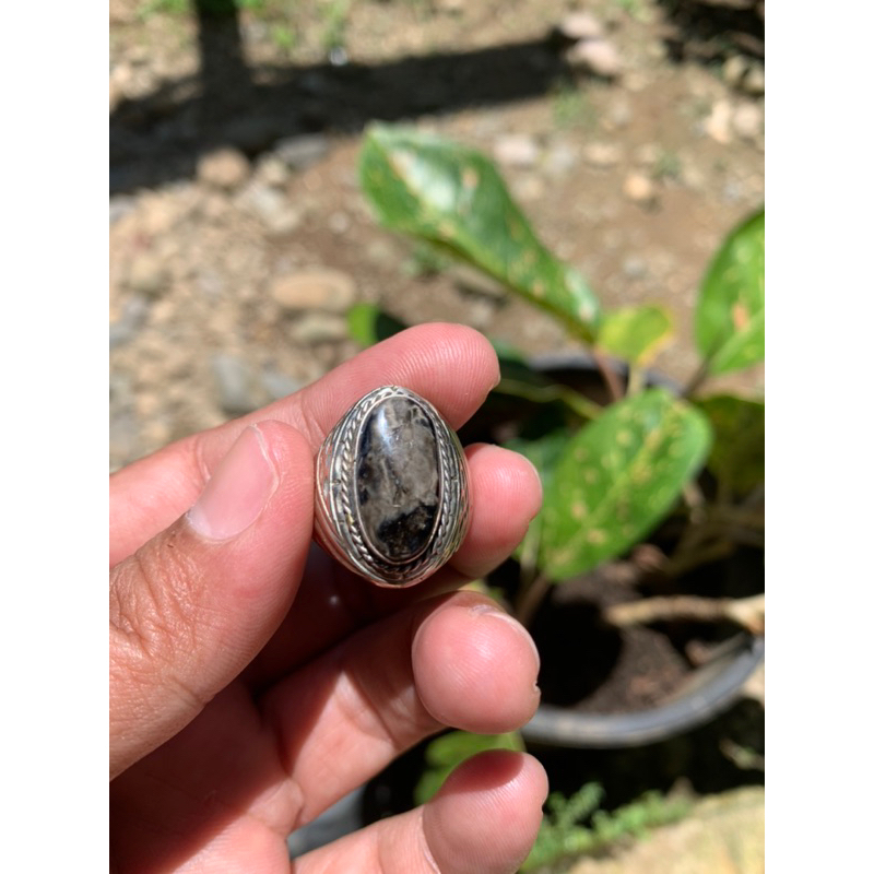 Natural Bulu Macan Lumajang