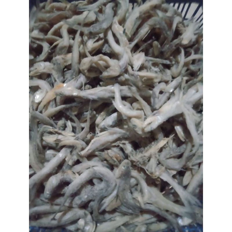 

IKAN ASIN KACANGAN ENAK KEMASAN 1 KG