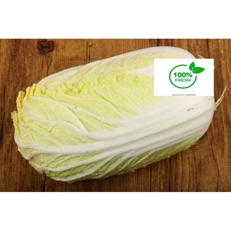 

SAWI PUTIH SEGAR -1 Kg- SAWI PUTIH CHINESE CABBAGE