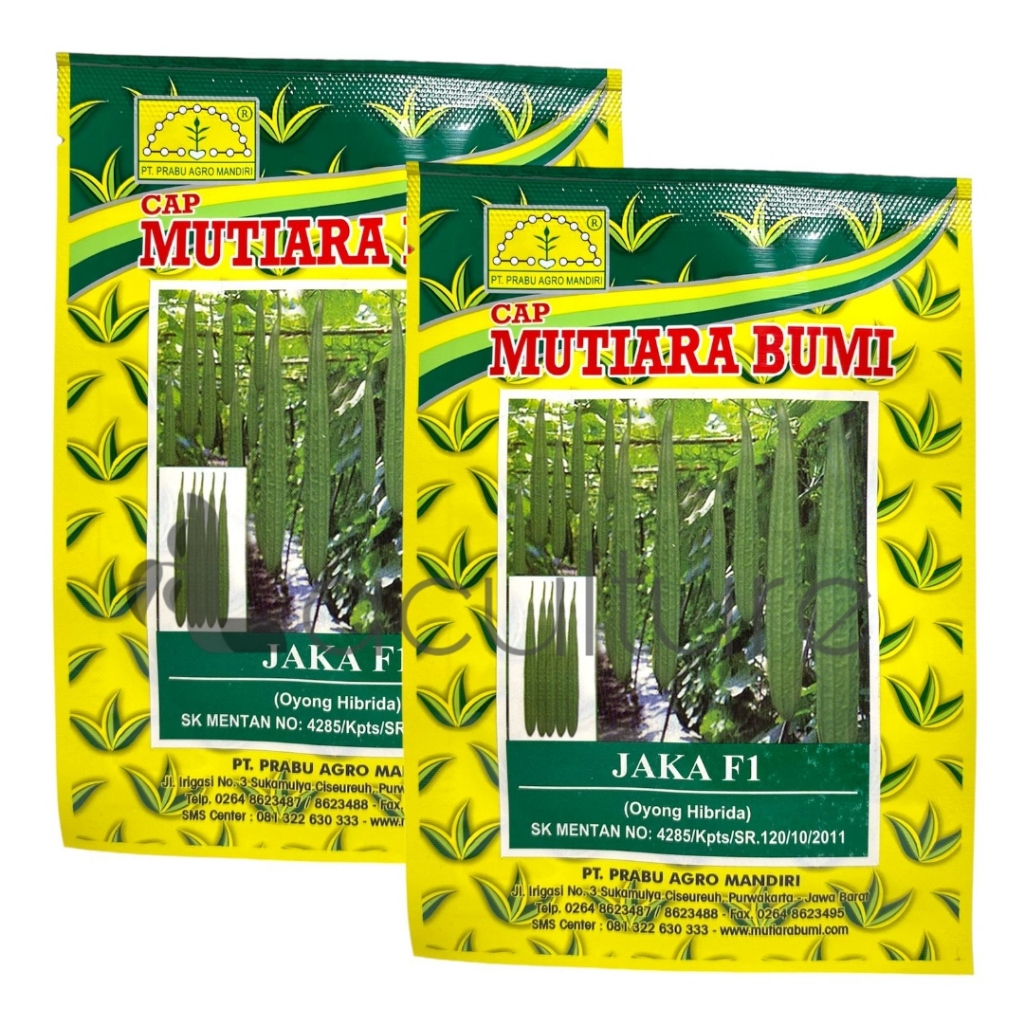 Benih Oyong Hibrida JAKA F1 Isi 10 gram Cap Mutiara Bumi