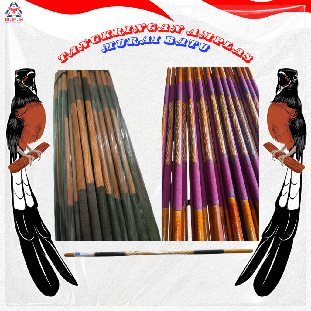 Tangkringan Amplas Murai Batu 64cm