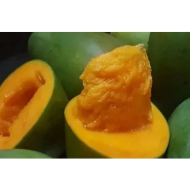 

mangga alpukat/mangga gadung 1kg