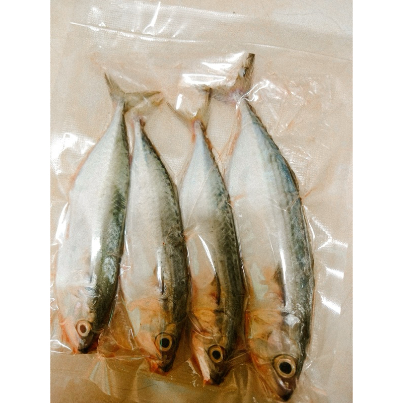 

Ikan kembung | Ikan tinggi nutrisi | Fillet ikan kembung | lauk mpasi | ikan mpasi