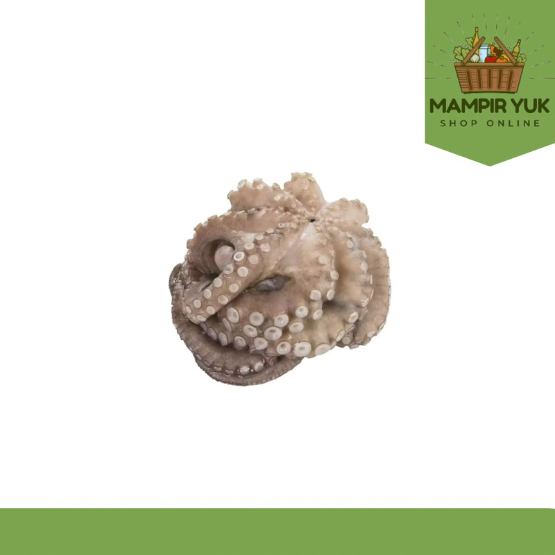 

Gurita frozen 1,3 kg | mampiryuk