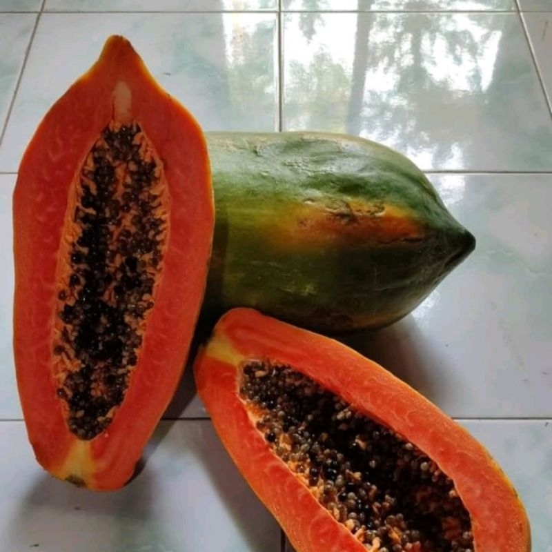 

Pepaya | Pepaya California | Pepaya Thailand Segar(-/+ perbiji 1 - 2 Kg)
