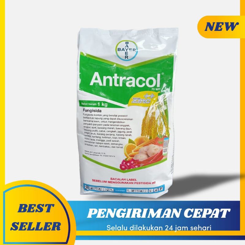 Antracol 1kg