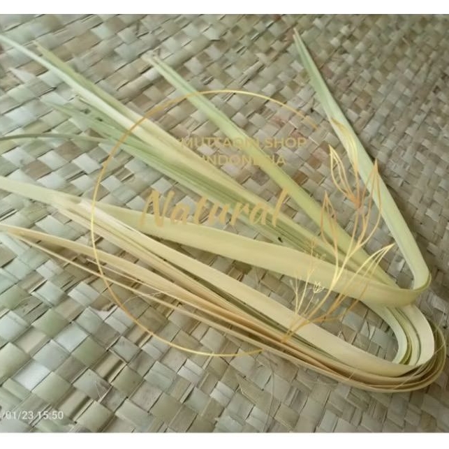 Daun Lontar / Siwalan (MUDA) Kering Bahan Anyaman