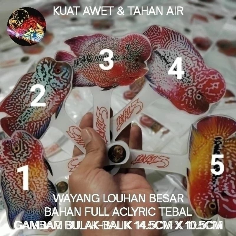 Wayang Louhan Akrilik Untulan Ikan Lohan Full Aclyric Besar Tebal Kuat