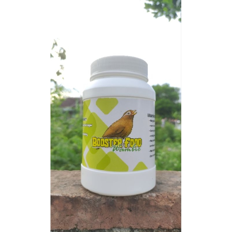 pakan penggacor burung wambi gacor , booster food wambi burung macet bunyi jadi gacor