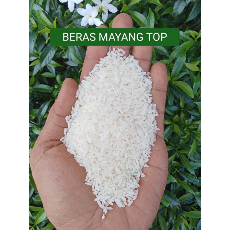 

BERAS MAYANG TOP / MAYANG JAMBUN / BERAS HANYAR / BERAS BANJAR / BERAS BERKUALITAS / BERAS LOKAL