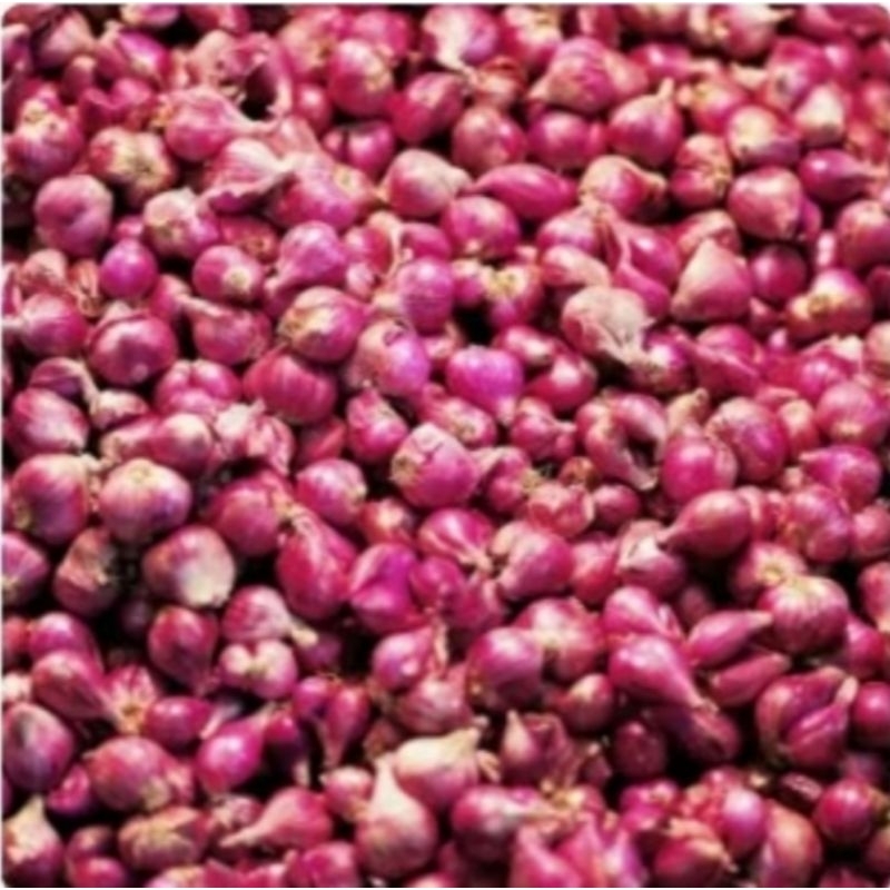 

BAWANG MERAH SUPER 1KG