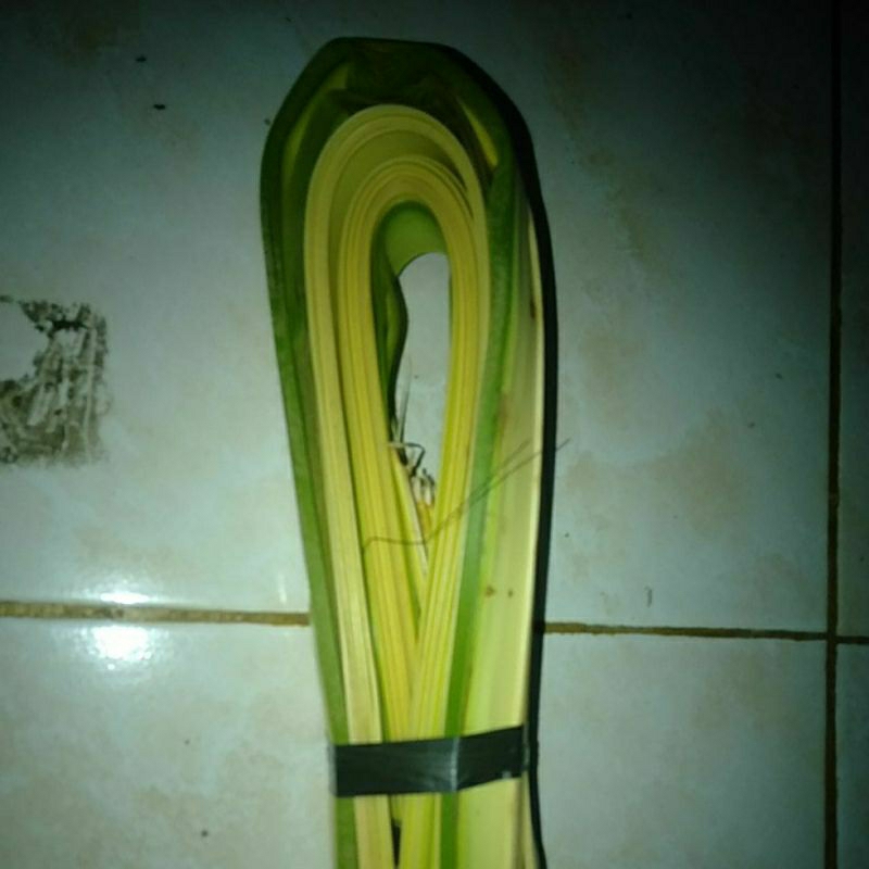 

Janur Daun Kelapa muda segar Perikat