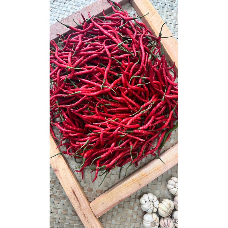 

Cabai kriting 500 gr Banyuwangi