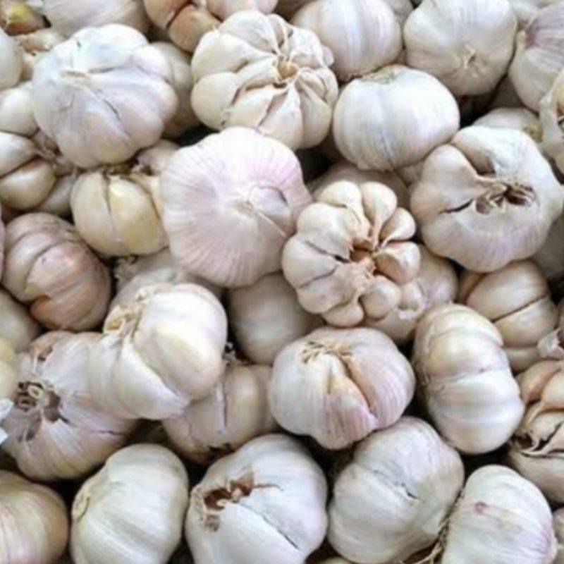 

Bawang Putih 1 Kilogram