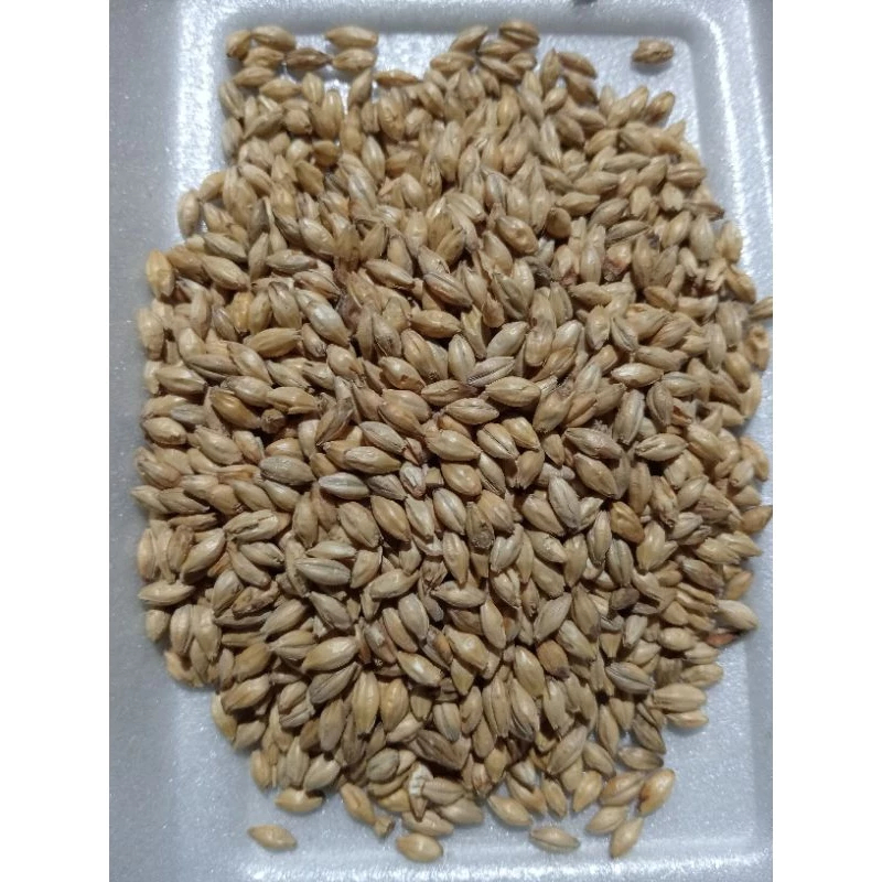 

1 kg Roasted Barley - Teh Barley