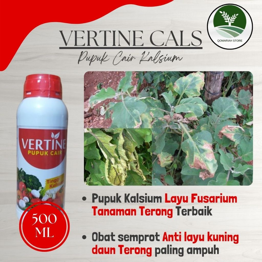 Obat Semprot Layu Fusarium Tanaman Terong Terbaik - VERTINE KALSIUM 500ML - Pupuk Fungisida Basmi pe