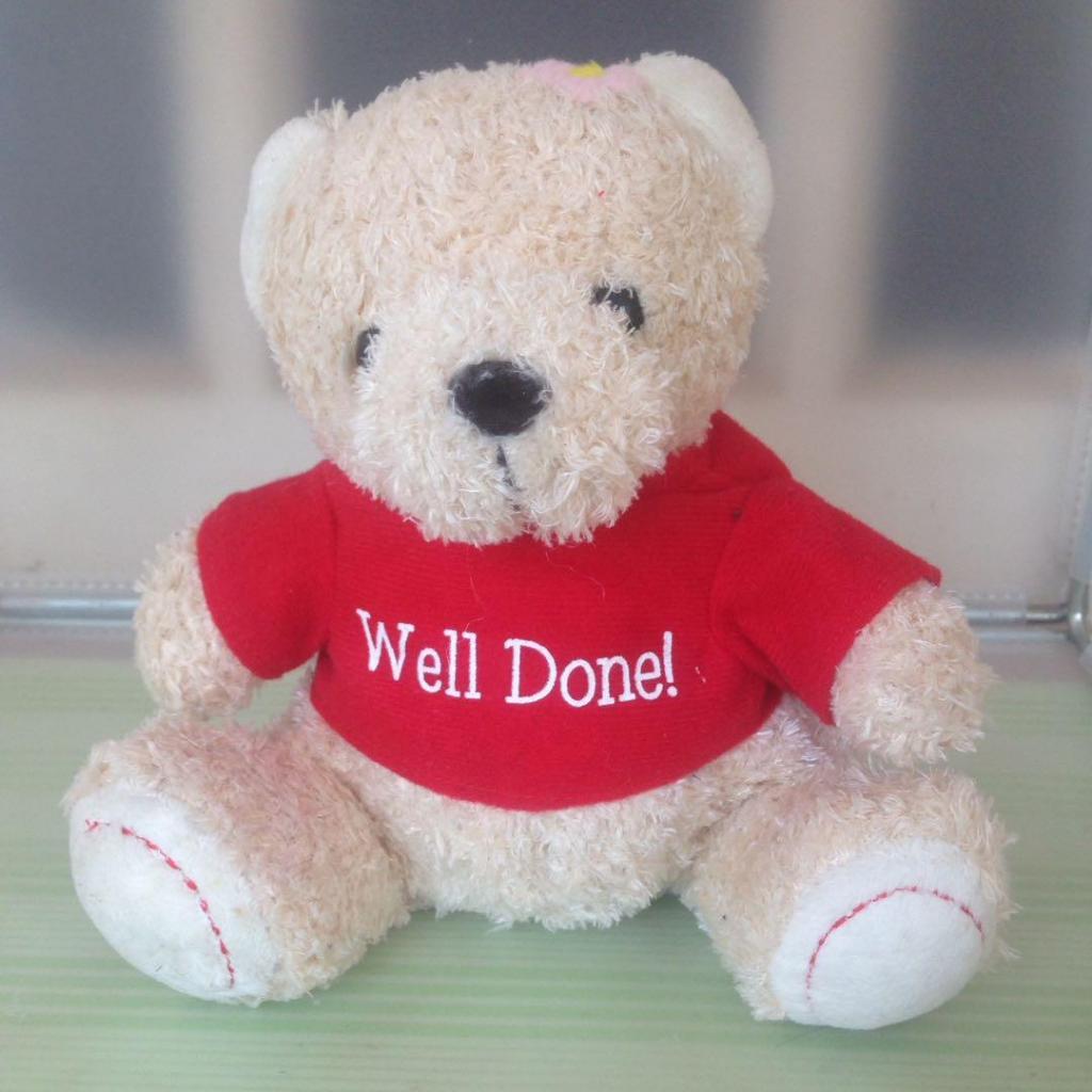 Boneka Beruang Well Done
