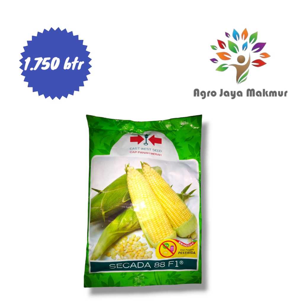 Secada 88 f1 isi 1800 butir/benih jagung manis/bibit jagung manis/benih jagung manis secada/scada/sk