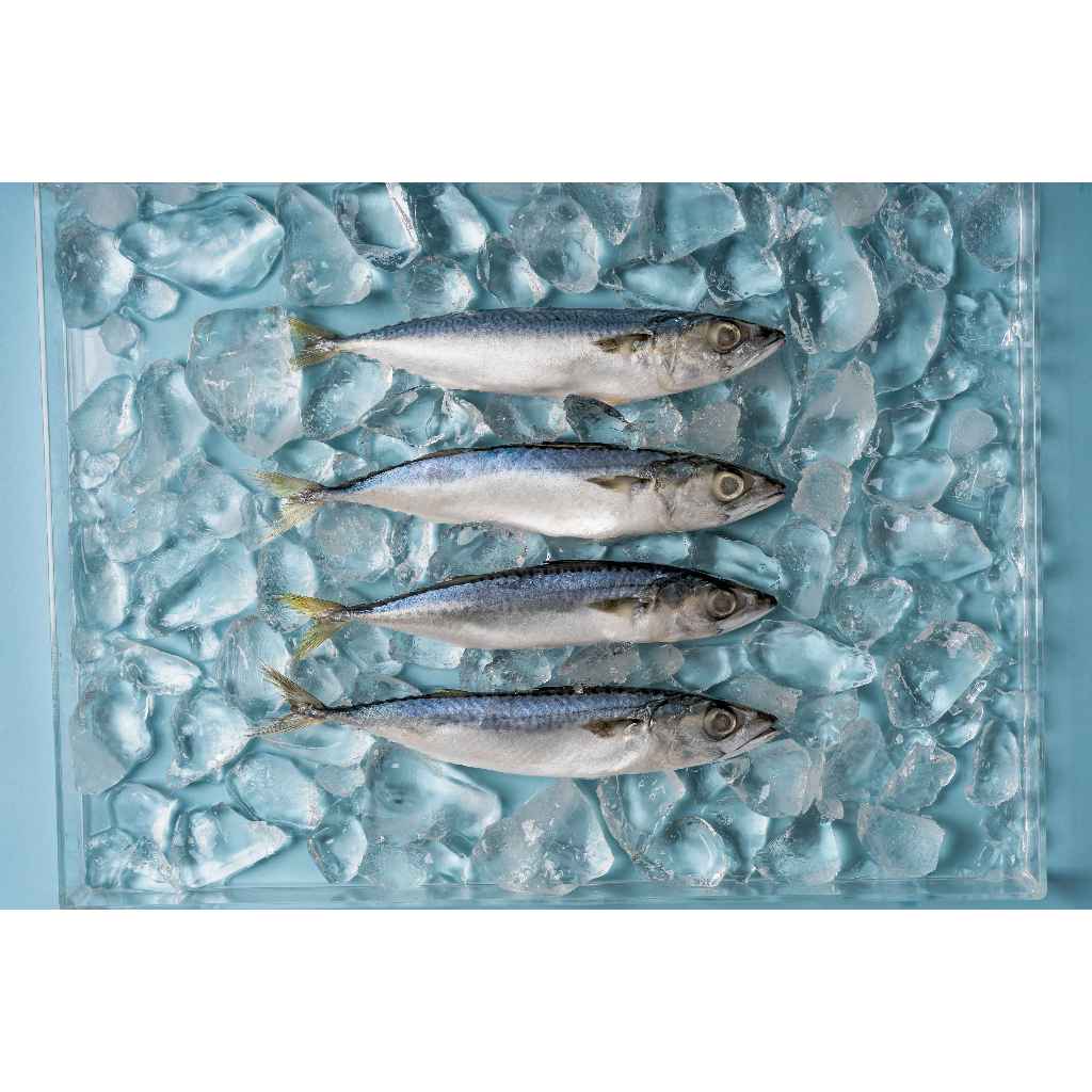 

Ay00! Ikan Salem IQF Frozen 1 Kg Segar Tanpa Kimia