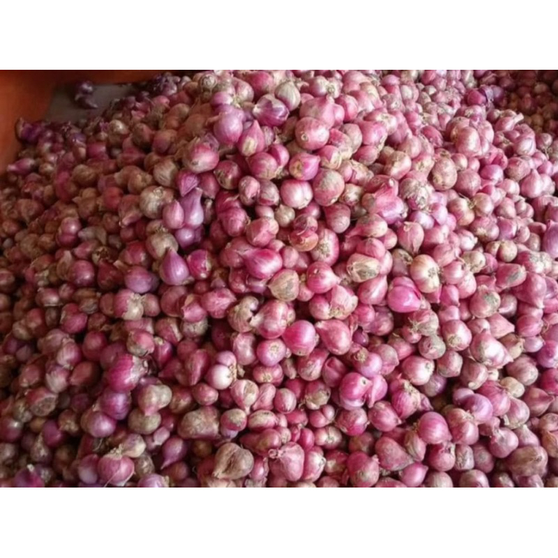 

BAWANG merah 500gr