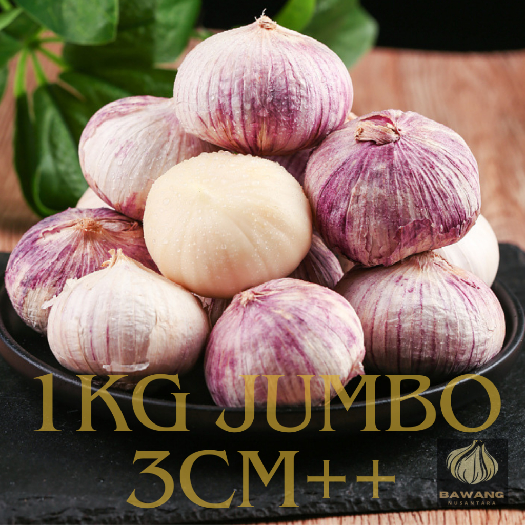 

Bawang Putih Tunggal Super Besar Sortir Ukuran 2,5-3 Cm, Dan Jumbo 3 Cm