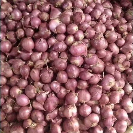

Bawang MeRah Bima 500 GR