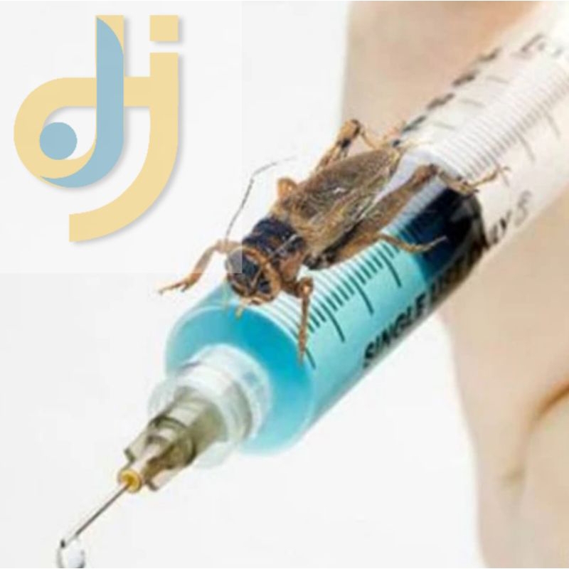 Spet Spuit Untuk Memasukan Vitamin Atau Obat Ke EF Jangkrik Dll