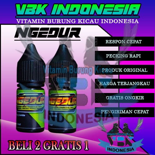 NGEDUR BY UMPAMANE KICAU ORIGINAL - Supleme lomba konsentrasi tinggi menjaga stamina burung main tan