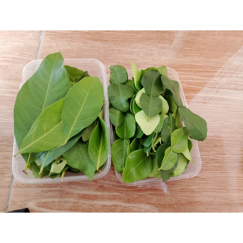 

daun salam dan daun jeruk organik segar fresh pesan di petik