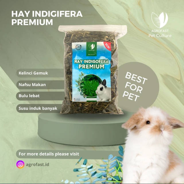 HAY INDIGOFERA GROSIR INSTANT Pakan Kelinci Murah PREMIUM 500GR