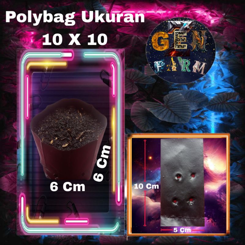Polibag Polybag 10X10 Polibag Polybag Tanaman 10 X 10 Polibeg Semai Kecil Plastik Hitam Tebal