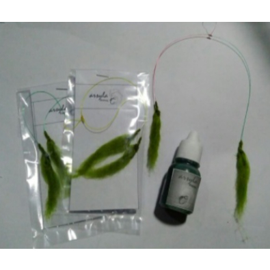 Paket lumut tiruan Essen umpan lumut tiruan spesial ikan nila mujair