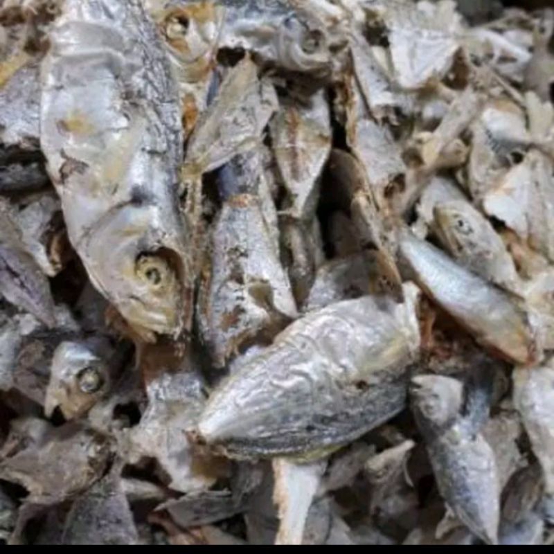 

Ikan Asin Sampah Campur Pilihan Khas Medan Fresh 250 gram