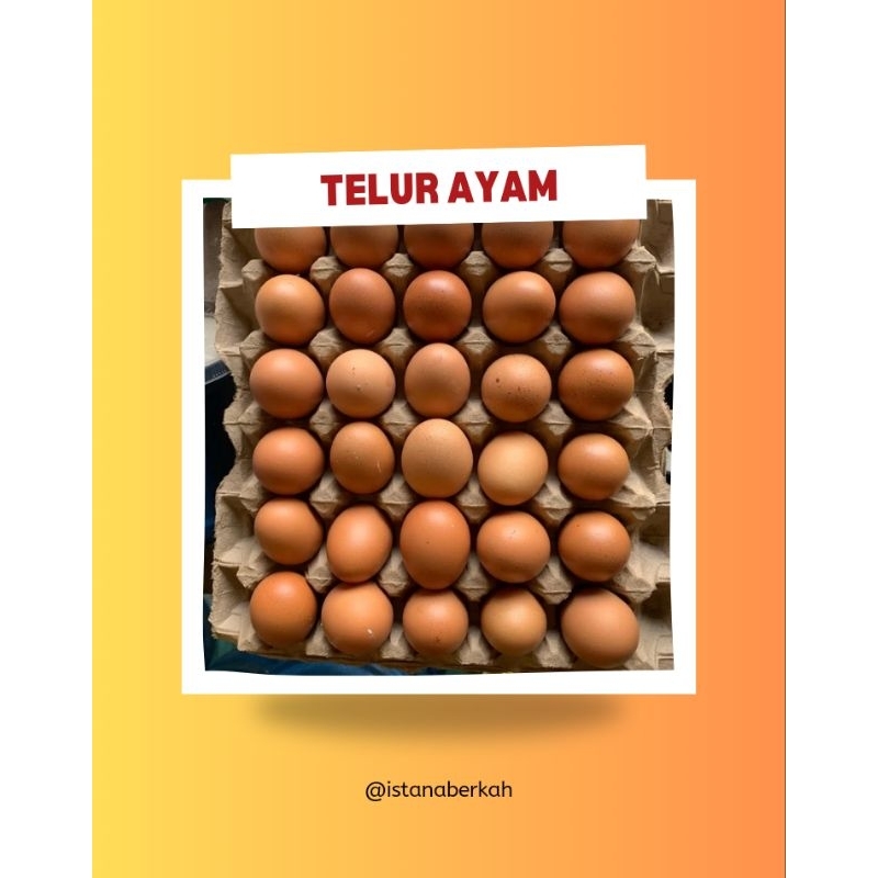 

Telur ayam negeri