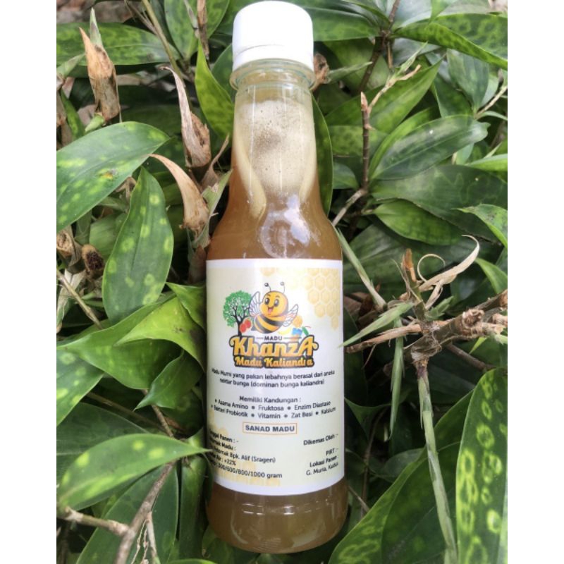 

Madu Kaliandra G.Muria (Madu Khanza Masaran Madu Khanza Sragen)